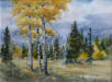 Aspens and Wilderness Road