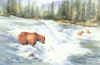 bears.jpg (78365 bytes)