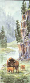 sprng.jpg (45764 bytes)
