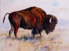 Big Red