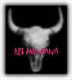 Art Montana