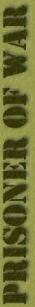 pow.jpg (6475 bytes)