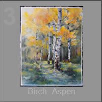 Birch and Aspen