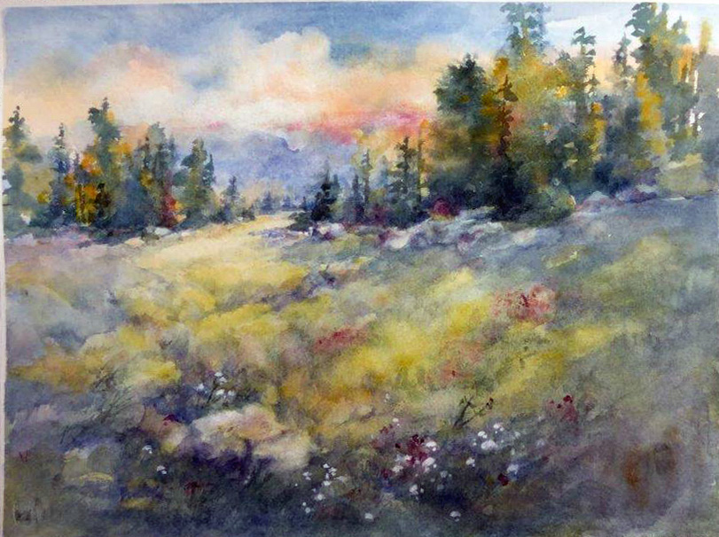 The Meadow
