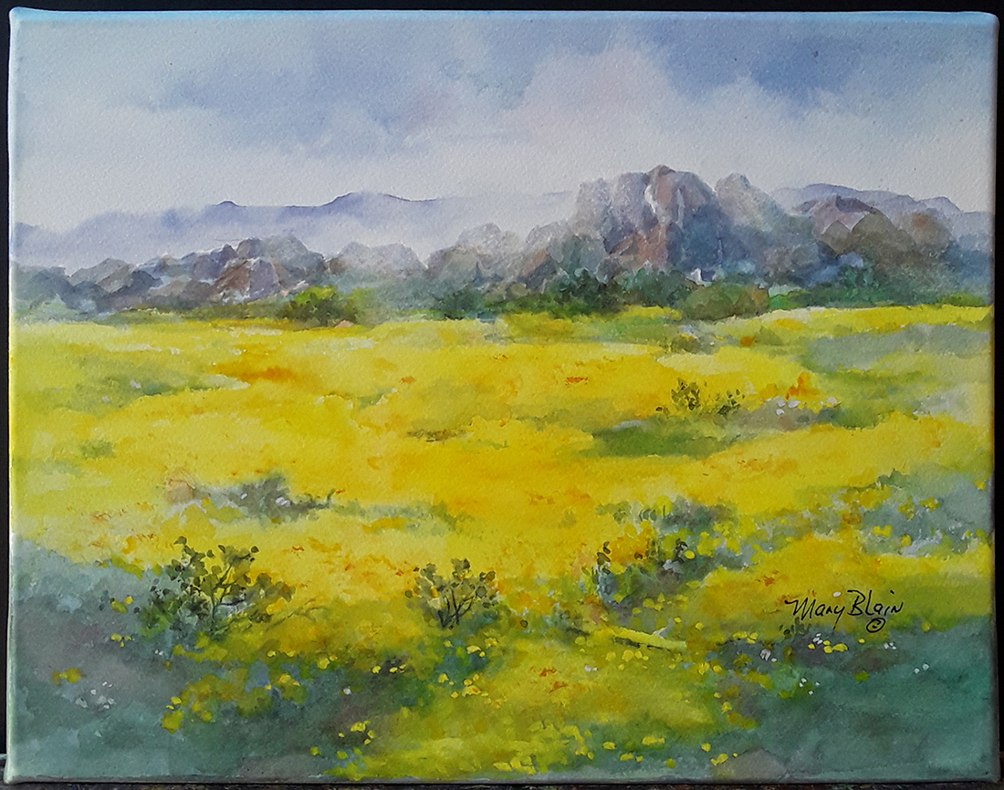 Wild Poppies